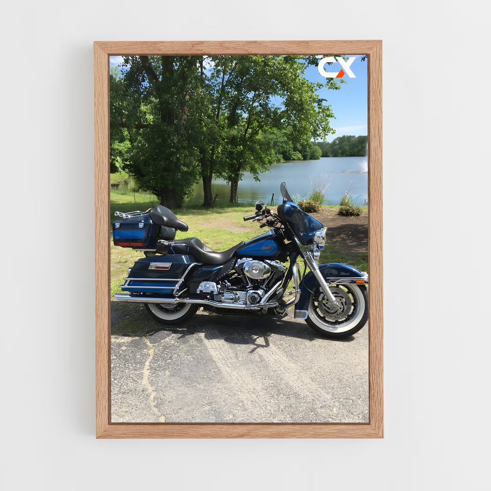 Poster Electra sublime glisse – affiche Harley-Davidson (vue 4)